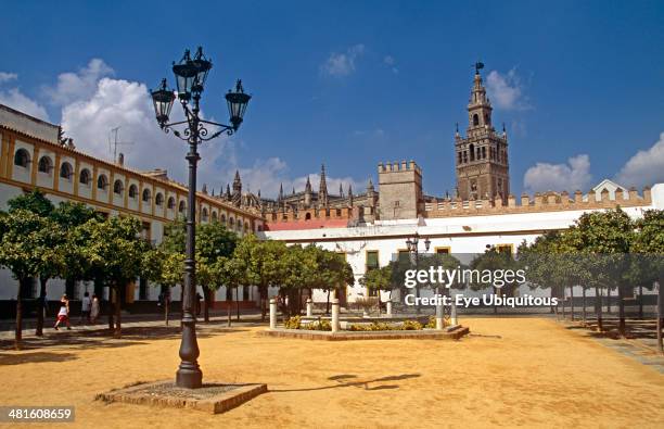 Spain, Cathedral and Patio de Banderas