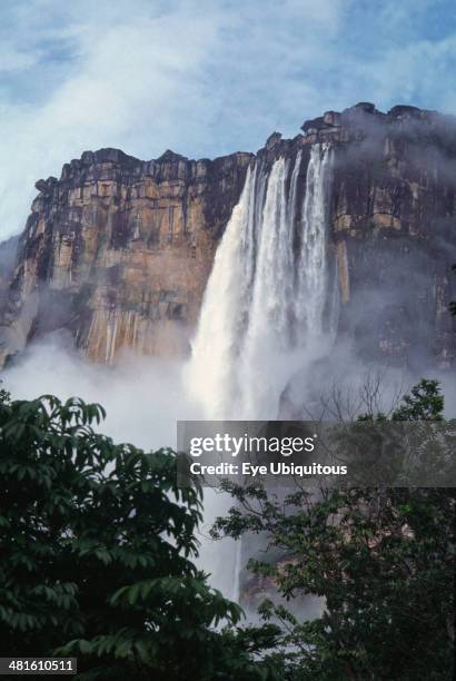 Venezuela, Bolivar State, Canaima national park, Angel Falls the worlds highest waterfalls.