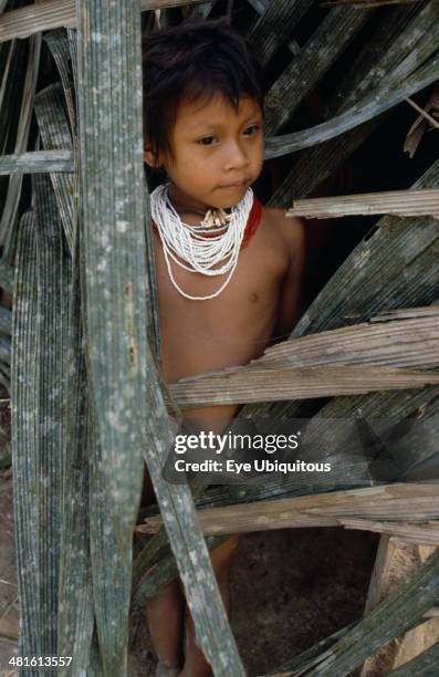 Ecuador, People, Children, Young Waorani girl outside hut.