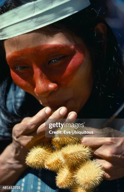 Ecuador, Amazon, Auca Indian woman with achole plant from which the red coloring used as face paint is obtained.