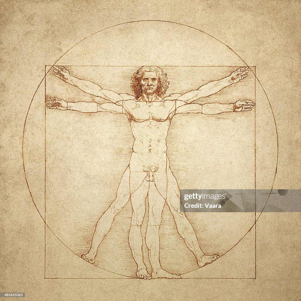 Vitruvian Man by Leonardo da Vinci