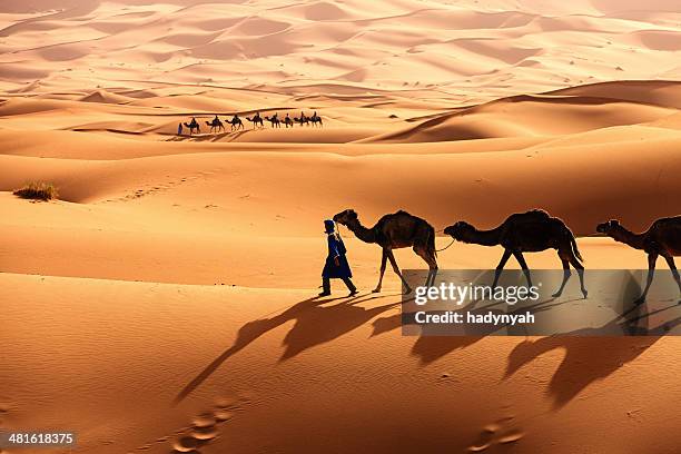 young tuareg with camel on western sahara desert in africa - merzouga stockfoto's en -beelden