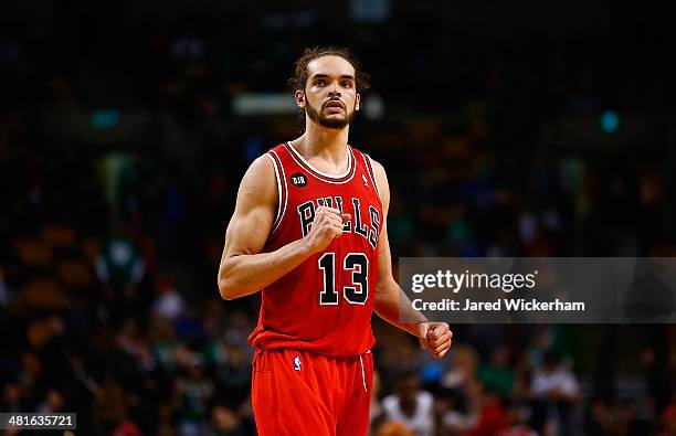 Joakim Noah of the Chicago Bulls reacts to their win in the final seconds of the fourth quarter against the Boston Celtics during the game at TD...