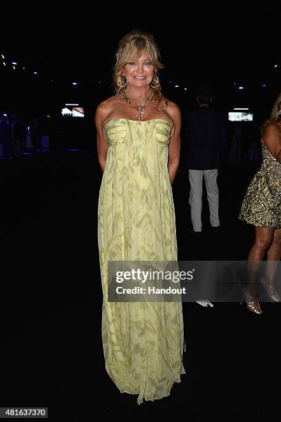 Goldie Hawn poses as she attends The Leonardo DiCaprio Foundation 2nd Annual Saint-Tropez Gala at Domaine Bertaud Belieu on July 22, 2015 in...