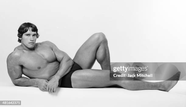 Professional bodybuilder Arnold Schwarzenegger posing at the top of his form in October 1976.