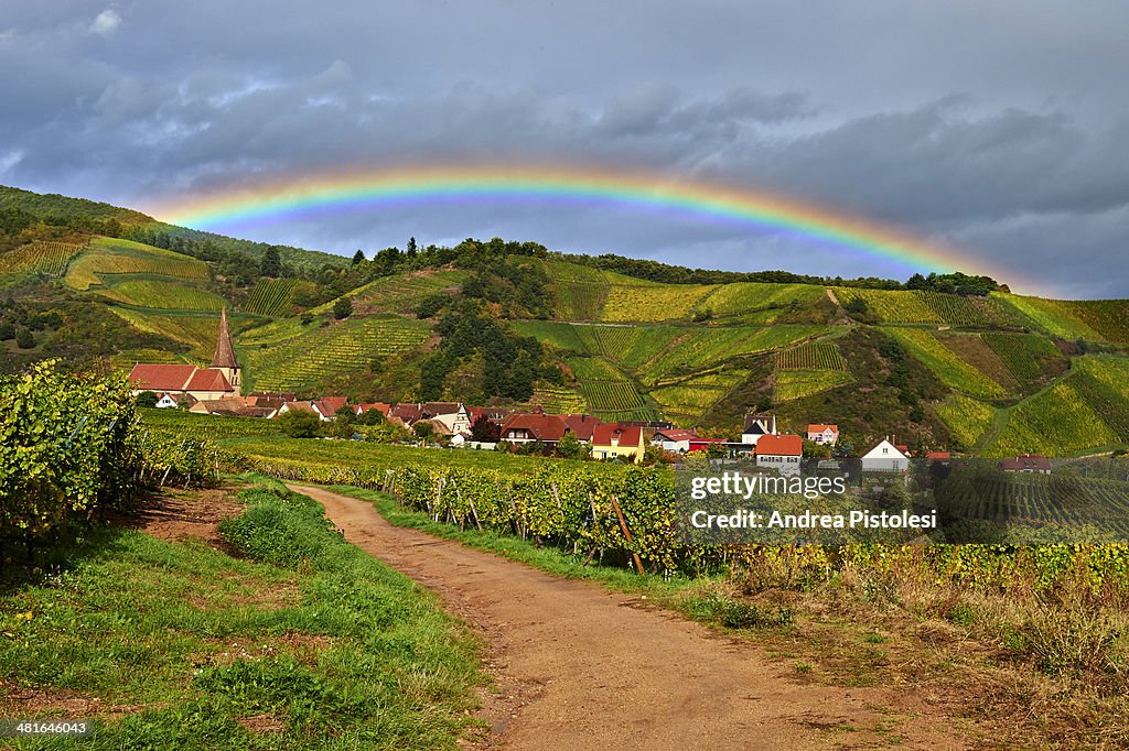 Alsace Wine Route, France