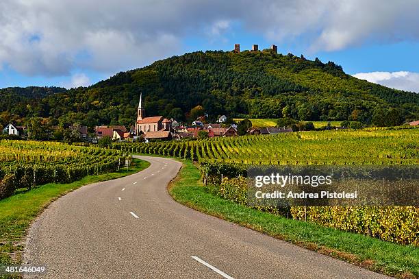 alsace wine route, france - country road stock pictures, royalty-free photos & images