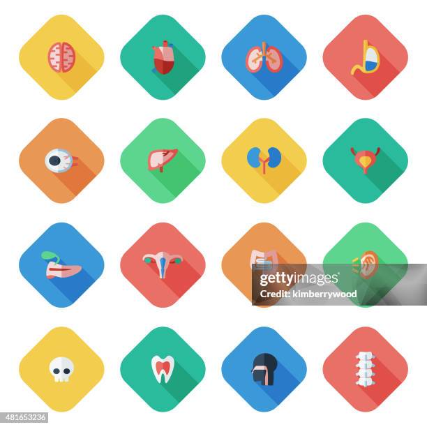 organ - condition stock illustrations