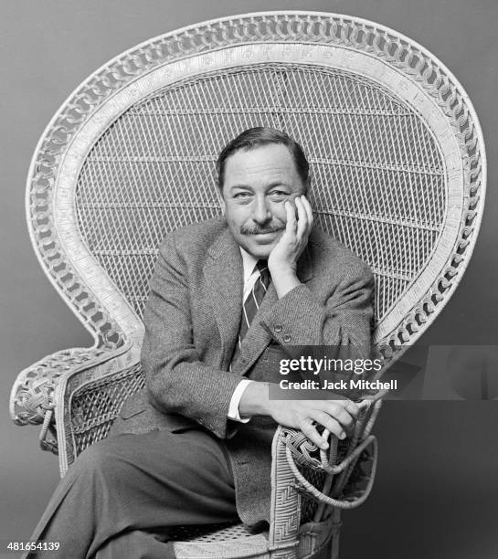 Pulitzer Prize-winning playwright Tennessee Williams photographed in 1966.