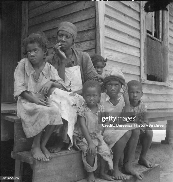 Turpentine worker's family near Cordele, Alabama. Father's wages one dollar a day. This is the standard of living the turpentine trees support....