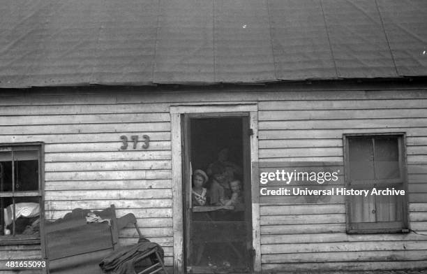 Dweller in Circleville's "Hooverville," central Ohio. 1938 Summer.