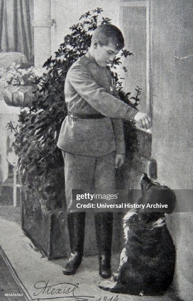 Alexei World War I - Alexei Nikolayevich, Tsarevich of Russia of the House ...