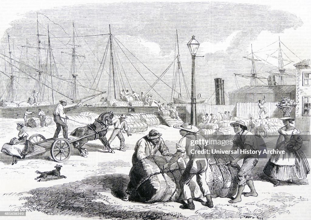 Unloading bales of cotton at Nassau