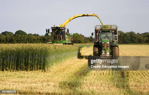 Machinery harvesting a crop of rye to be used as biofuel for electricity generation, Shottisham, Suffolk, England.