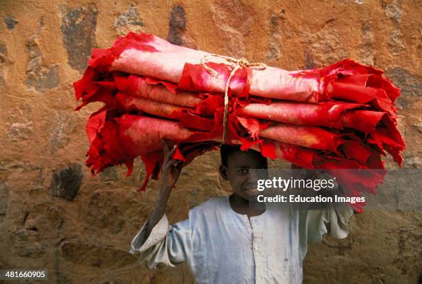Young boy carrying dyed leather pelts in the Kano Market. The Kano Market is a vast warren of alleys and stalls selling everything from foodstuffs to...