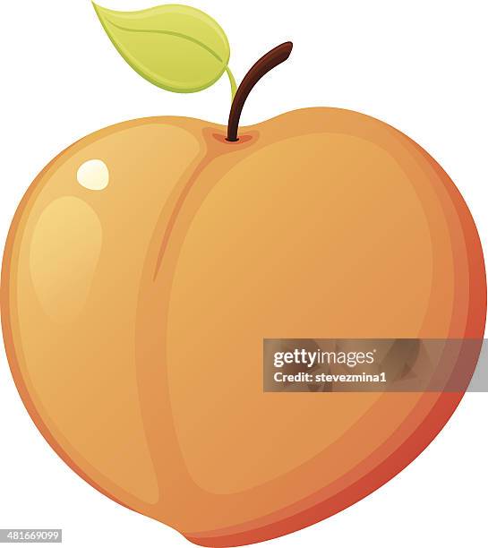 peach - peach stock illustrations