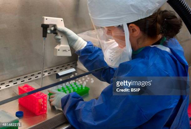 This Centers for Disease Control scientist was using a pipette to transfer H7N9 virus into vials for sharing with partner laboratories for public...