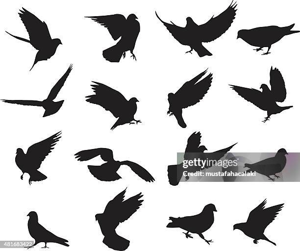 pigeon silhouettes - flapping wings stock illustrations