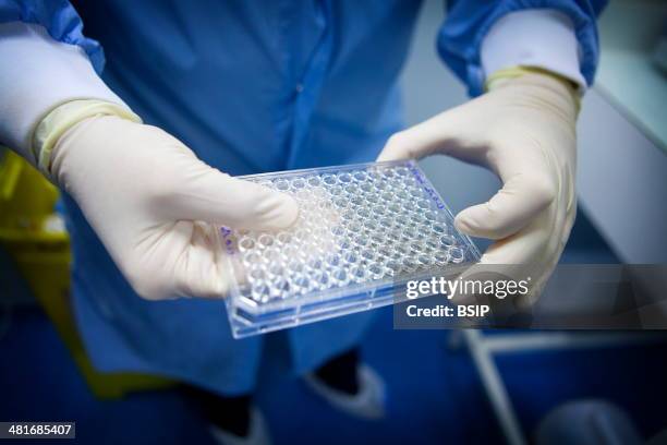 Reportage in a laboratory which develops therapeutic vaccinations to treat small-cell lung cancer, using optimised cryptic peptide technology. These...