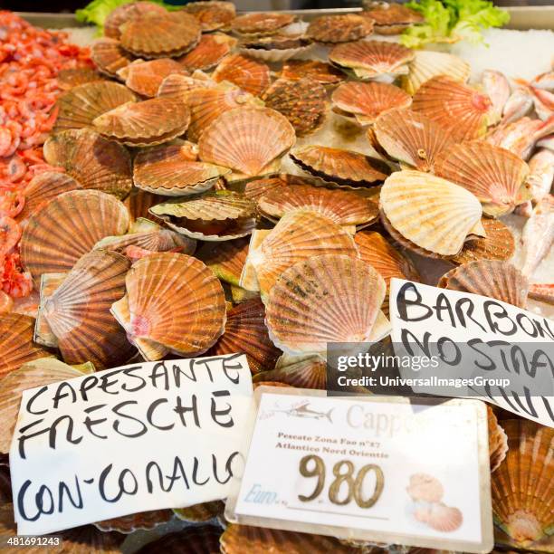 Seafood for sale at fish market, Tronchetto Mercato, Venice, Veneto, Italy.