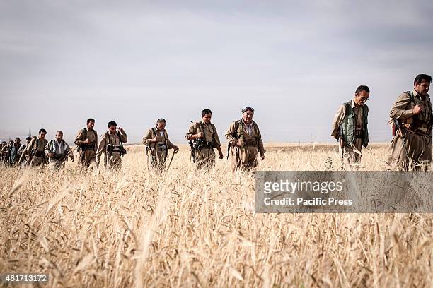 Peshmergas are walking in a single line along the wheat field. Peshmergas were trained on the mountains for survival and endurance, to prepare...