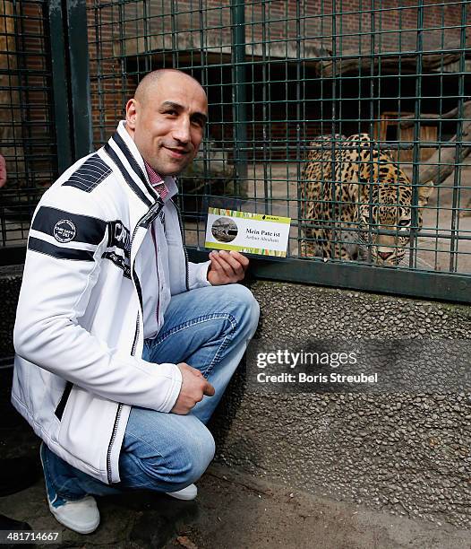 Super middleweight world champion Arthur Abraham adopts Shiva, a baby persian leopard. On the picture he poses with Erivan, the mother of leopard...