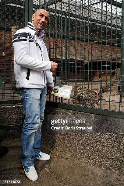 Super middleweight world champion Arthur Abraham adopts Shiva, a baby persian leopard. On the picture he poses with Erivan, the mother of leopard...