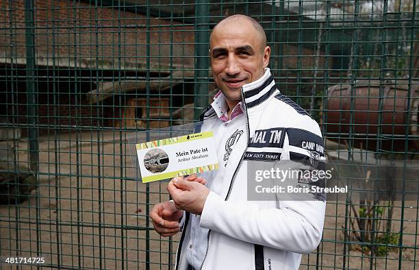 Super middleweight world champion Arthur Abraham adopts Shiva, a baby persian leopard, at Berlin Zoo's Lion House on March 31, 2014 in Berlin,...