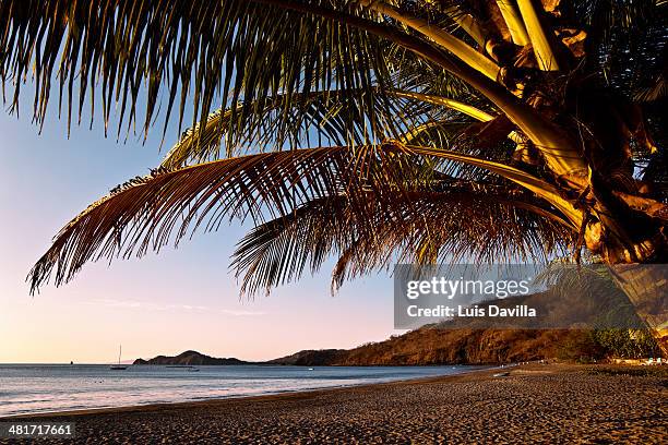 hermosa beach. costa ria - hermosa beach stock pictures, royalty-free photos & images