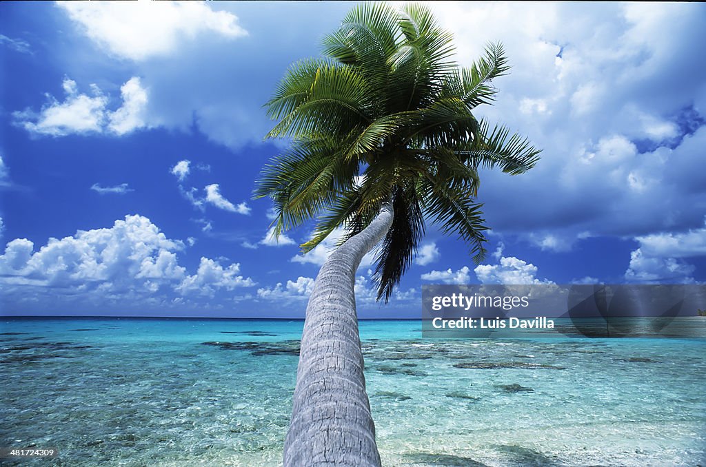 Rangiroa. Polynesia