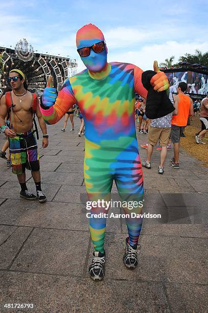 General view of a festival-goer at Bayfront Park Amphitheater on March 29, 2014 in Miami, Florida.