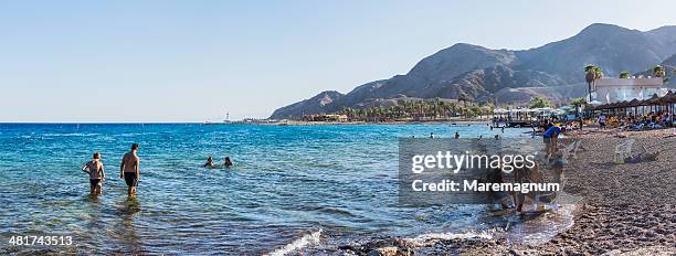 view of coral beach - eilat stock pictures, royalty-free photos & images