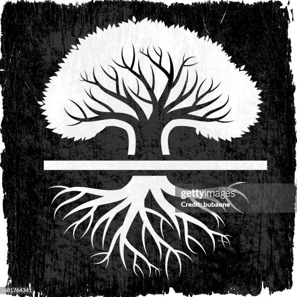 Maple Tree Roots Vector Maple Tree With Roots Photos and Premium High Res Pictures - Getty Images