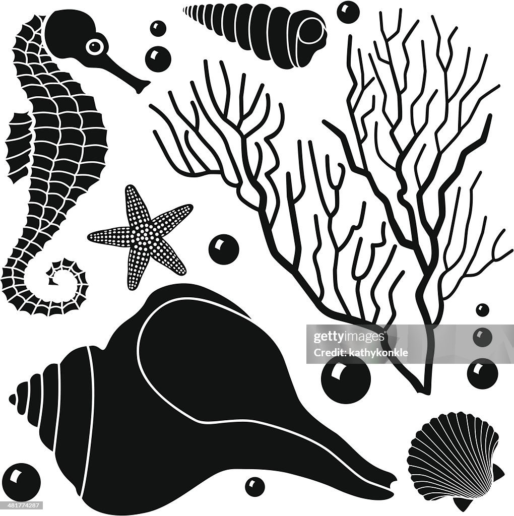 Sea Creatures Layout Sea Creatures Design Elements High-Res Vector Graphic - Getty Images