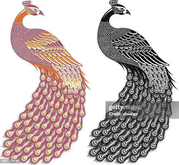 peacock - pfau stock-grafiken, -clipart, -cartoons und -symbole