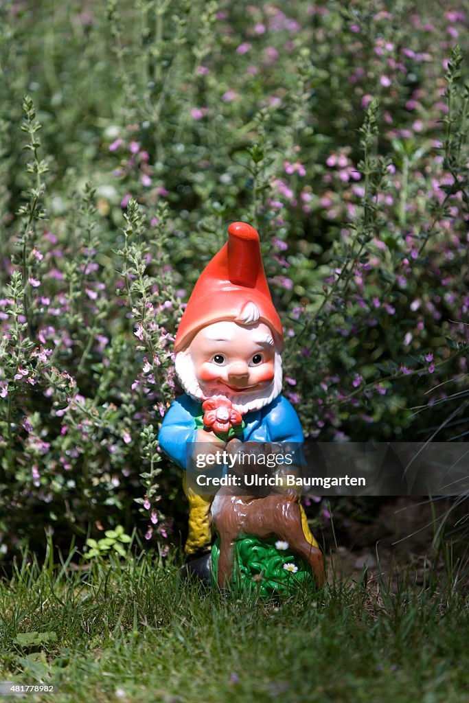 Garden gnome.