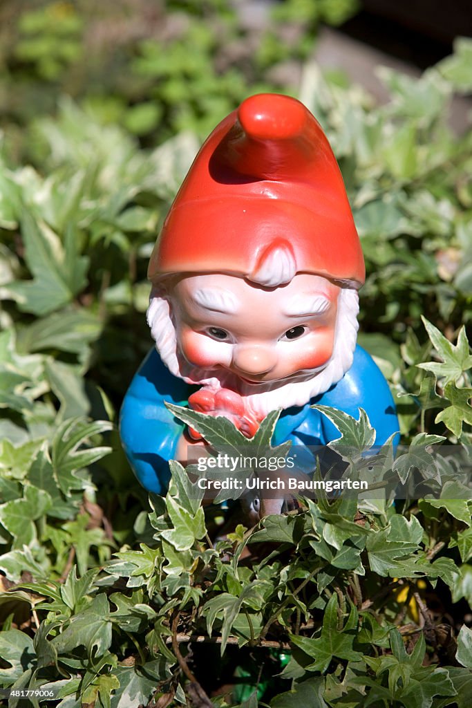 Garden gnome.