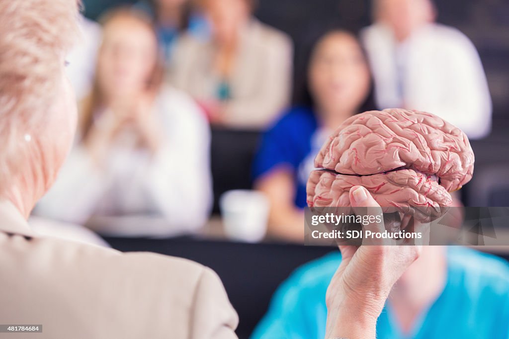 Medizinische professor mit menschlichen Gehirn-Modell zu lernen in college-Klasse