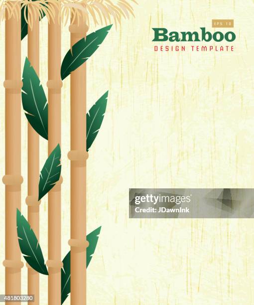 bamboo natural background with copy space - aloha stock illustrations