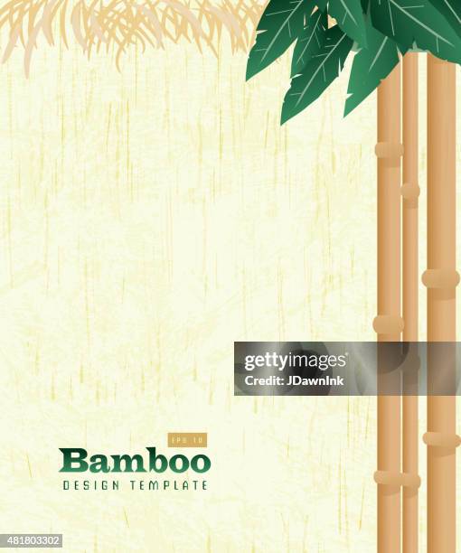 bamboo natural background with copy space - aloha stock illustrations