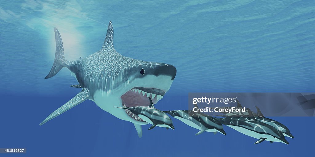 Megalodon Attack