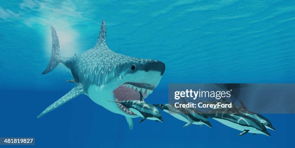 Megalodon Attack Megalodon Attack