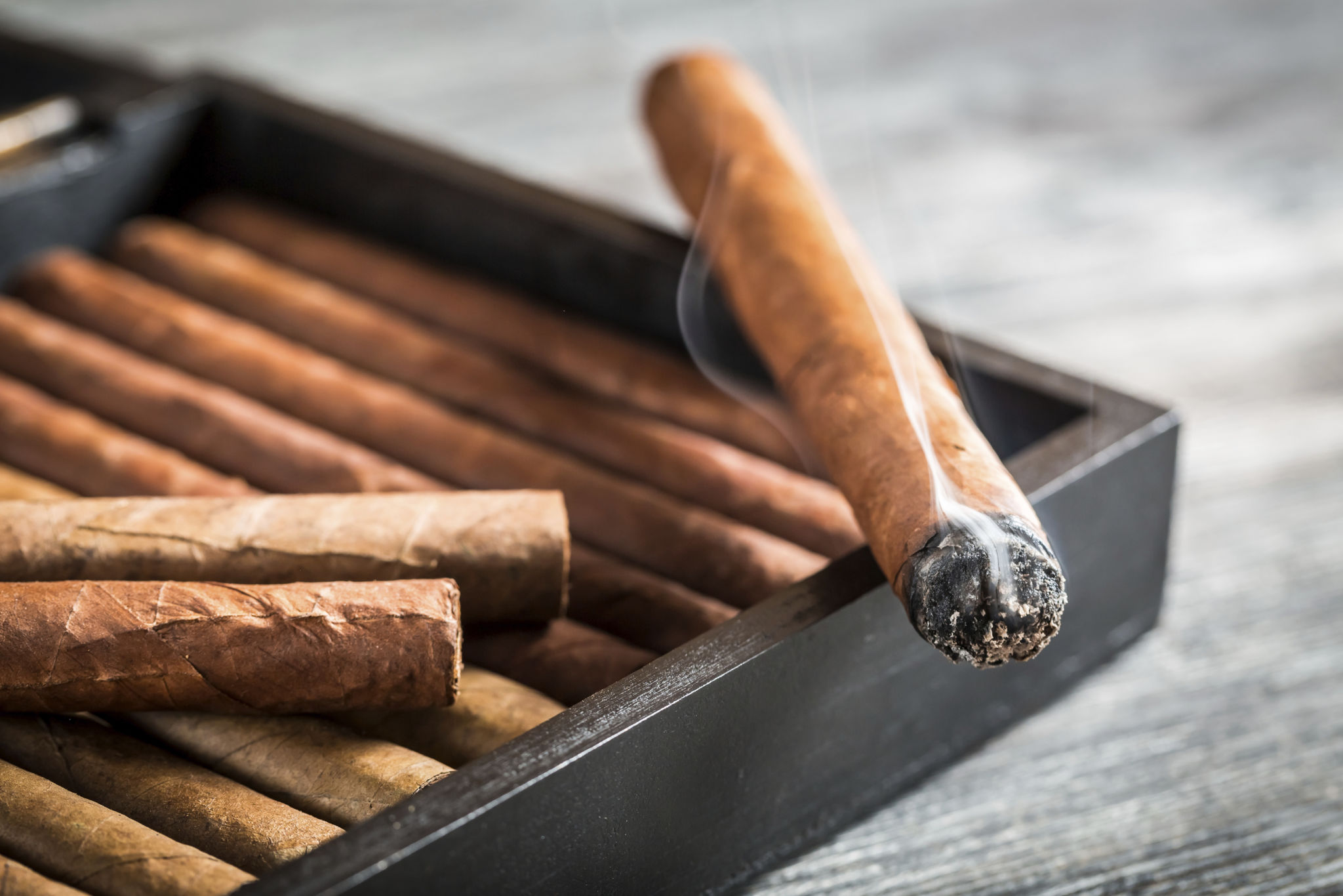 humidor care