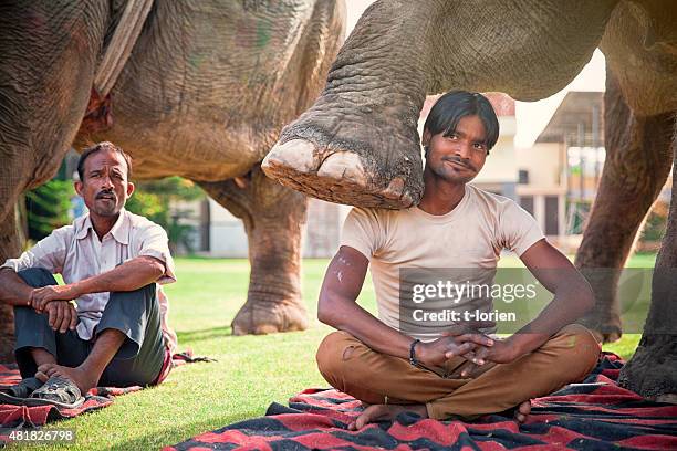 young mahout showing off. india. - mahout stock pictures, royalty-free photos & images