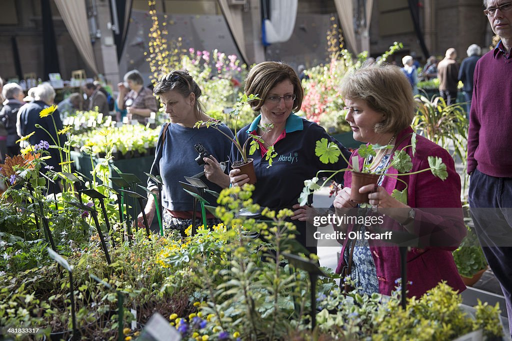 Botanical Displays At The RHS Great London Plant Fair