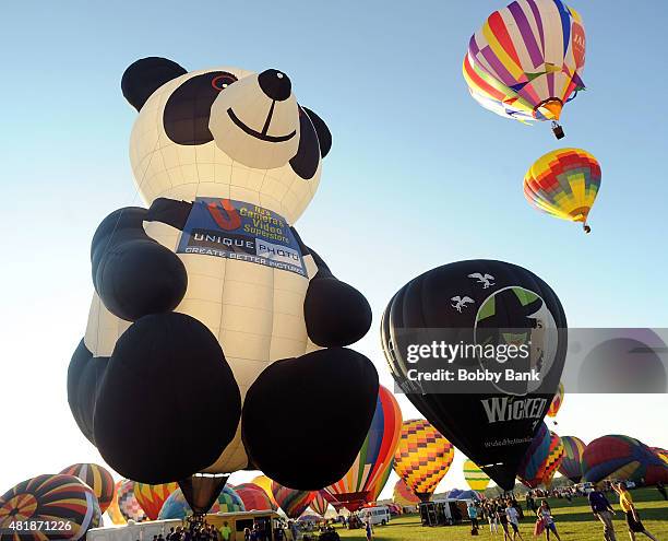 Mass Hot Air Balloon Ascension at the 33rd Annual Quick Chek New Jersey Festival Of Ballooning - Day 1 at Solberg Airport on July 24, 2015 in...