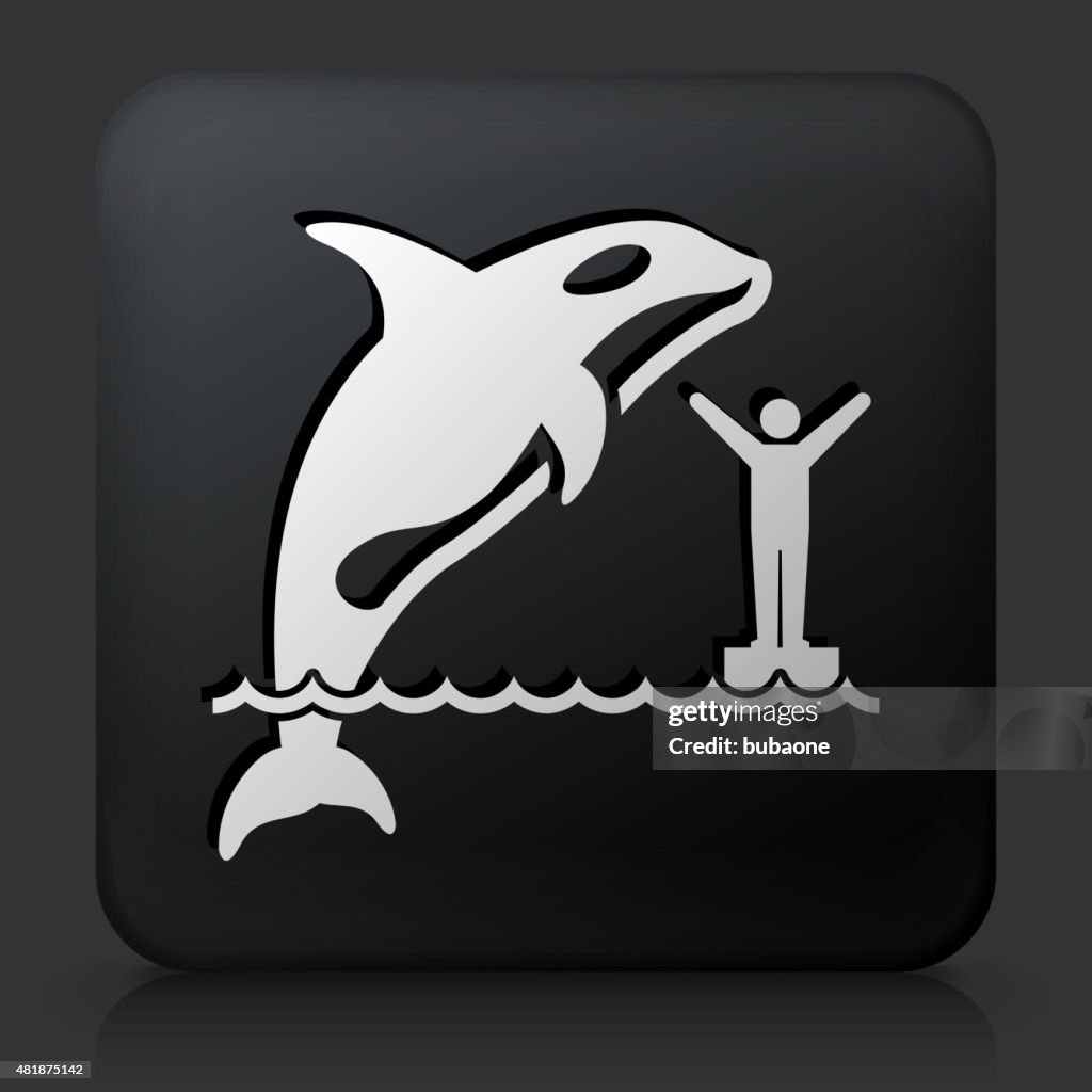 Black Square Button with Orca