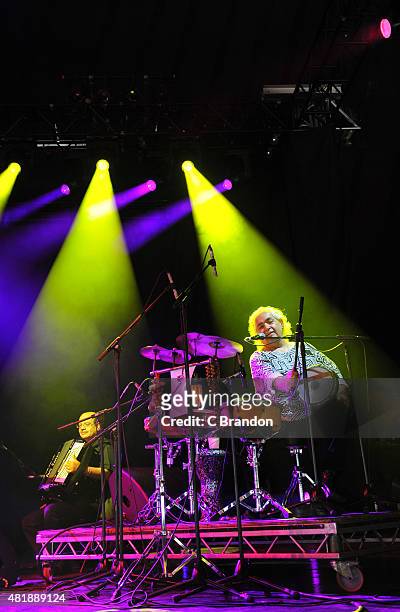 Hossam Ramzy performs on stage during the 2nd Day of the Womad Festival at Charlton Park on July 25, 2015 in Wiltshire, England.