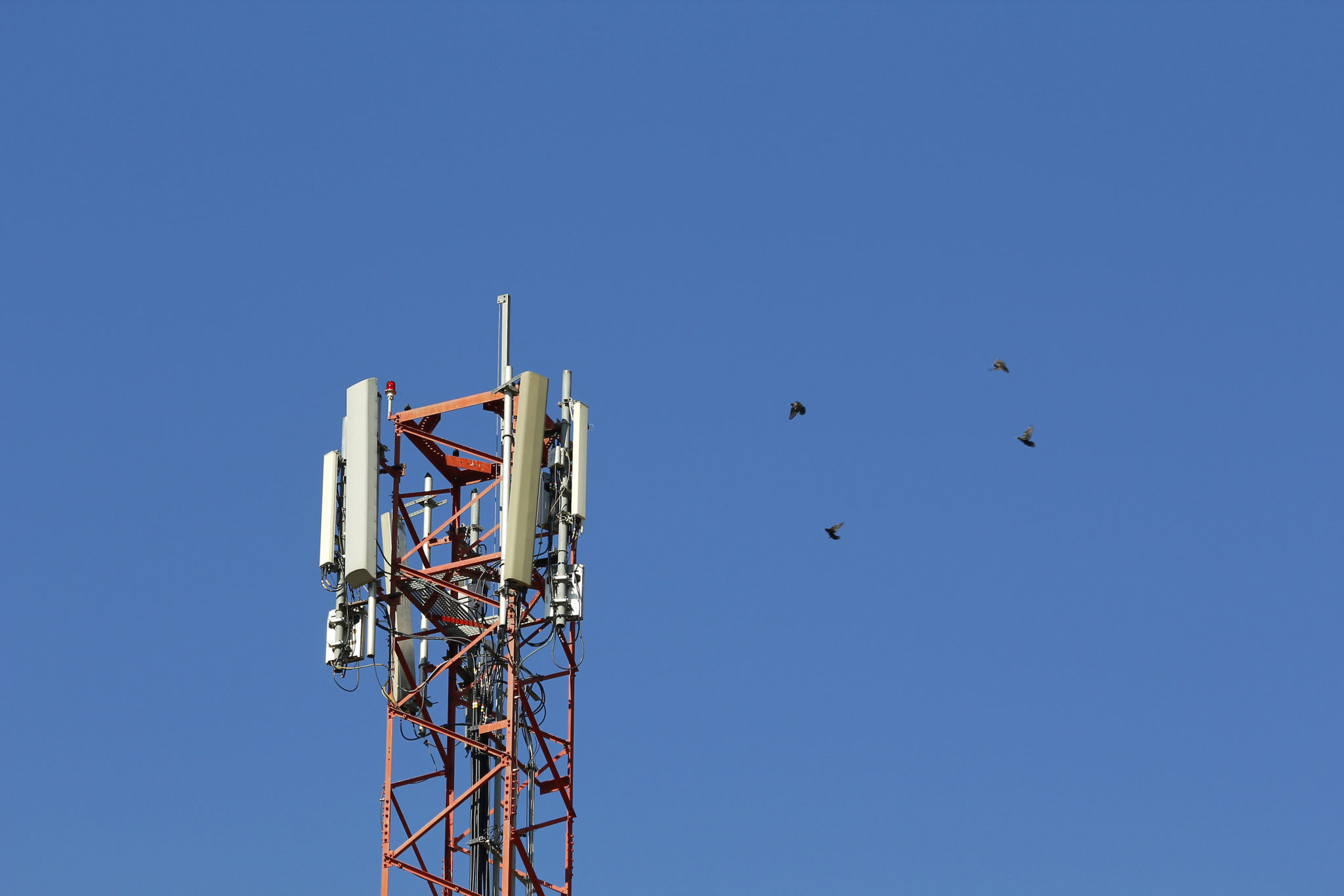 walton county technology