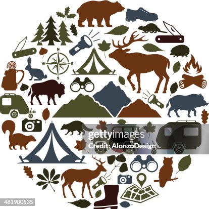 Camping Collage Camping Collage